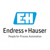logo du Groupe Endress+Hauser