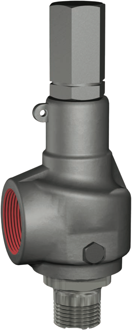 Consolidated™️ 1982 Series Safety Relief Valve